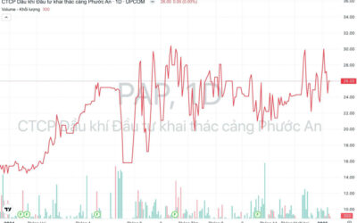 Cổ phiếu PAP: Thông tin, Đặc điểm, Tiềm năng và Chiến lược đầu tư