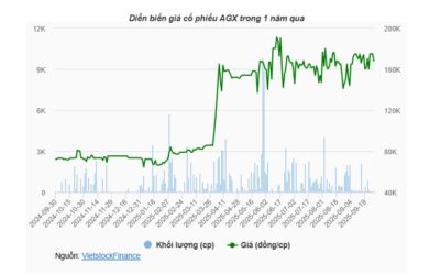 Cổ phiếu AGX: Thông tin, Đặc điểm, Định giá và Chiến lược đầu tư