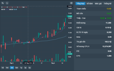 Cổ phiếu BRC: Thông tin doanh nghiệp, Chỉ số tài chính, Tiềm năng tăng trưởng và Chiến lược đầu tư