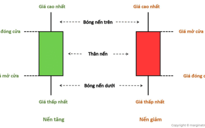Các Loại Nến Trong Chứng Khoán: Hướng Dẫn Đọc Nến Chuẩn Xác Cho Nhà Đầu Tư