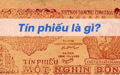 Tín Phiếu: Thông tin, Đặc điểm, Phân loại và Cách thức Giao dịch