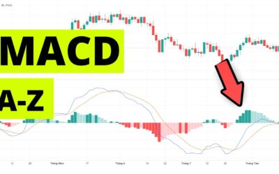 Chỉ báo MACD: Thông tin, Cấu tạo, Công dụng và Cách sử dụng hiệu quả