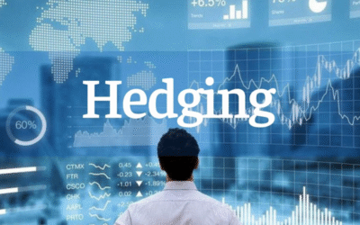 Hedge Là Gì? Bật Mí Bí Mật Phòng Hộ Rủi Ro Giúp Nhà Đầu Tư An Nhiên “Sống Sót” Qua Mọi Biến Động Thị Trường