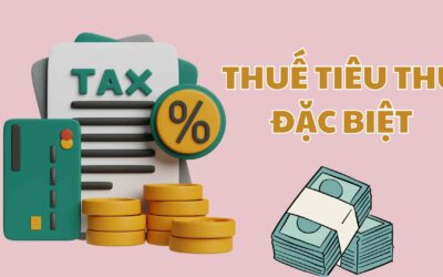 Thuế Tiêu Thụ Đặc Biệt: Bản Đồ Chi Tiết Từ Khái Niệm, Cách Tính Đến Chiến Lược Tối Ưu Chi Phí