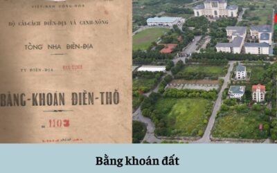 Bằng Khoán Là Gì? Cẩm Nang Chi Tiết Từ Khái Niệm Đến Cách Tính ROI Trong Đầu Tư