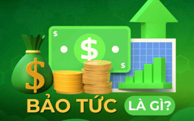 Bảo Tức Là Gì? Từ A-Z Về Thu Nhập Cổ Đông, Cách Nhận Và Chiến Lược Tối Ưu