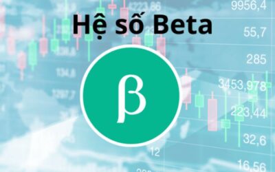 Beta Là Gì? Bật Mí Từ A-Z Ý Nghĩa Hệ Số Beta Trong Chứng Khoán Cho Nhà Đầu Tư F0