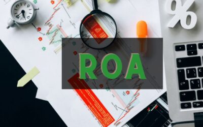 ROA để làm gì: Thông tin, Đặc điểm, Công dụng và Cách ứng dụng