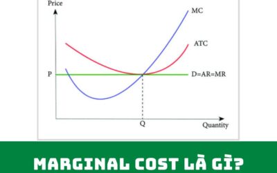 Chi Phí Cận Biên: Chìa Khóa Ẩn Giúp Tối Đa Hóa Lợi Nhuận Và Định Giá Doanh Nghiệp