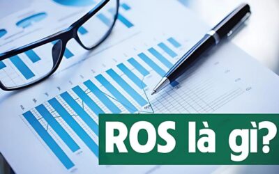 Chỉ Số ROS Là Gì? Ý Nghĩa, Công Thức Tính ROS Và Ứng Dụng Trong Kinh Doanh, Đầu Tư Chứng Khoán