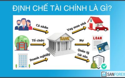 Định Chế Tài Chính Là Gì? Từ Khái Niệm Cơ Bản Đến Chiến Lược Tận Dụng Sức Mạnh Tiền Tệ