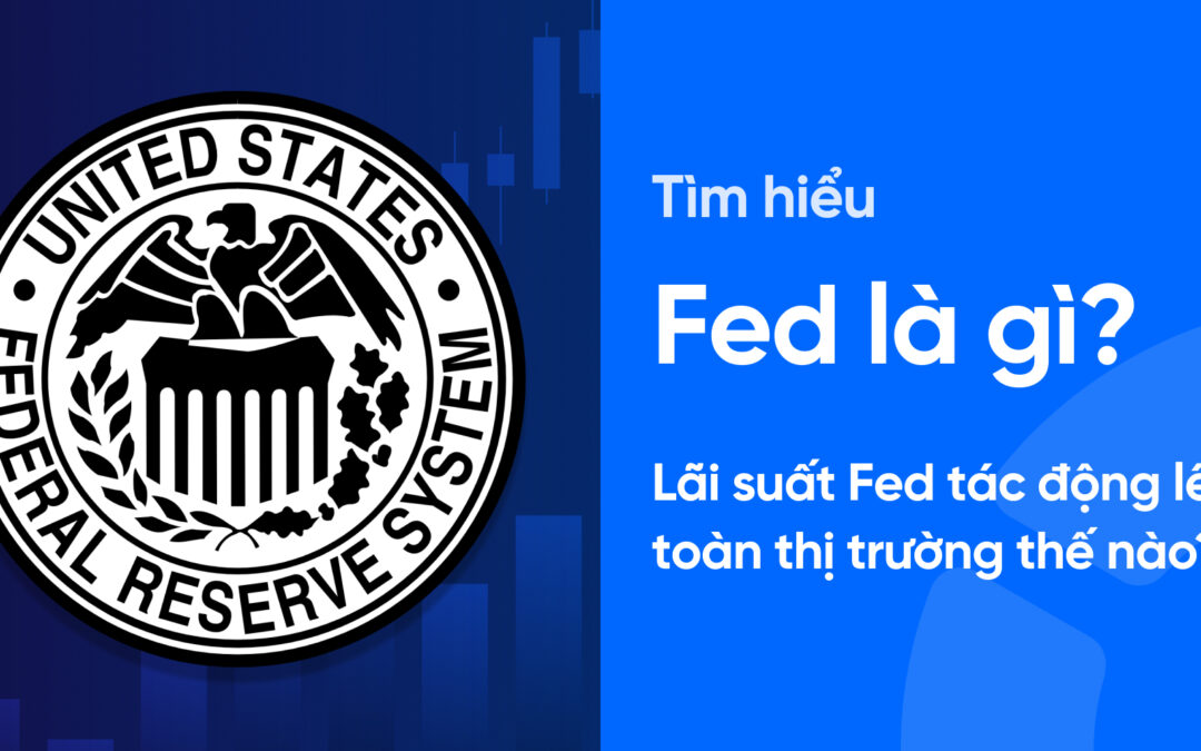 Fed trong chứng khoán: Thông tin, Đặc điểm, Cơ chế tác động và Chiến lược đầu tư