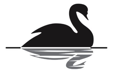 Hiện Tượng Thiên Nga Đen: Bí Mật Phố Wall Và Cách Nhà Đầu Tư Việt Sinh Tồn Sau Cú Sốc.