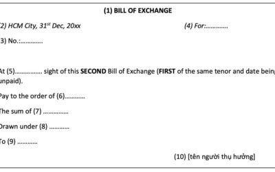 Hối phiếu: Thông tin, Đặc điểm, Phân loại và Quy trình sử dụng