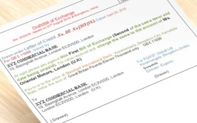 Hối Phiếu Là Gì? Cẩm Nang Thực Chiến Về Công Cụ Thanh Toán Quốc Tế 2025