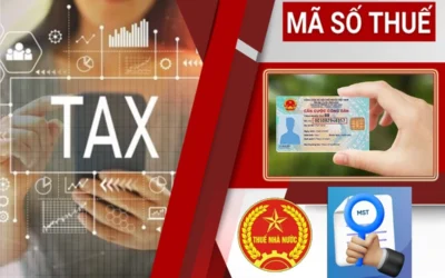 Mã Số Thuế Cá Nhân: Thông Tin, Vai Trò, Cách Đăng Ký và Tra Cứu