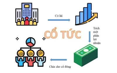 Mua Cổ Phiếu Bao Lâu Thì Nhận Được Cổ Tức? Bản Đồ Thời Gian Từ Lệnh Mua Đến Ngày Tiền Về Túi