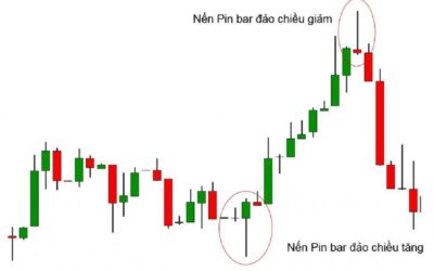 Khám Phá Sâu Về Nến Pin Bar: Chìa Khóa Đảo Chiều Cho Nhà Đầu Tư Thông Minh
