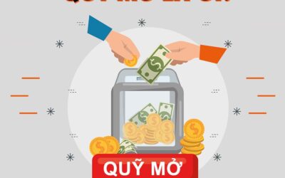 Quỹ Mở: Thông tin, Đặc điểm, Phân loại, Lợi ích, Rủi ro và Cách đầu tư