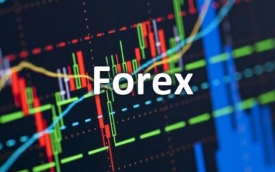 Sàn Forex: Thông tin, Phân loại, Tiêu chí Lựa chọn và Cách Giao dịch