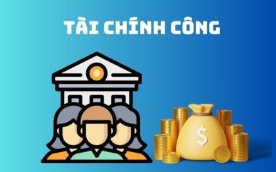 Tài Chính Công Là Gì? Bản Đồ Thực Chiến 2025 Dành Cho Người Trẻ Muốn Hiểu Tiền Nhà Nước