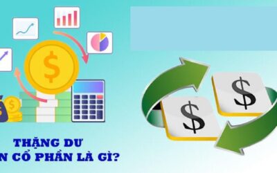 Giải Mã Thặng Dư Vốn Cổ Phần: Từ Khái Niệm Đến Chiến Lược Tối Ưu Lợi Nhuận