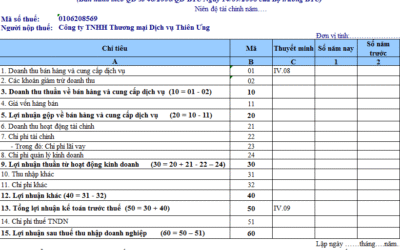 Báo cáo kết quả hoạt động kinh doanh: Thông tin, Cấu trúc, Ý nghĩa và Cách phân tích