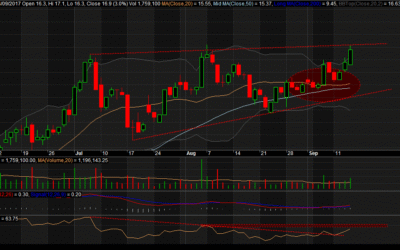 Bảng Giá Chứng Khoán SHS: Giải Mã Tiềm Năng Tăng Trưởng Vượt Trội Năm 2025