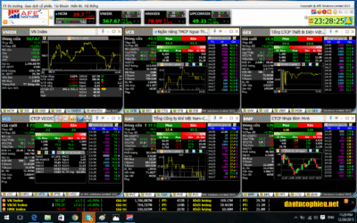 Bảng Giá HSX “Nổi Sóng”: Giải Mã Sự Phân Hóa Và Lộ Trình Đầu Tư Khôn Ngoan Cho Nửa Cuối 2025