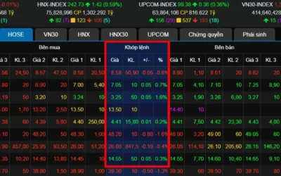 Bảng Giá TVSI: “Tấm Bản Đồ” Sống Còn Cho Nhà Đầu Tư Sau Khi TVSI Ngừng Phái Sinh