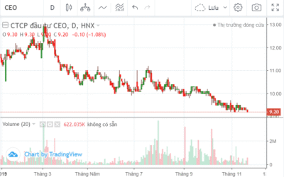 Cổ phiếu CEO: Thông tin, Phân tích Tiềm năng, Biểu đồ và Nhận định Đầu tư