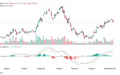 Chứng Khoán Novaland (NVL): Từ Ngôi Sao Sáng Đến Hành Trình Vượt Bão – Toàn Cảnh Và Chiến Lược Đầu Tư 2025