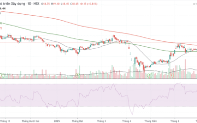 Cổ phiếu DIG: Thông tin, Đặc điểm, Định giá và Tiềm năng