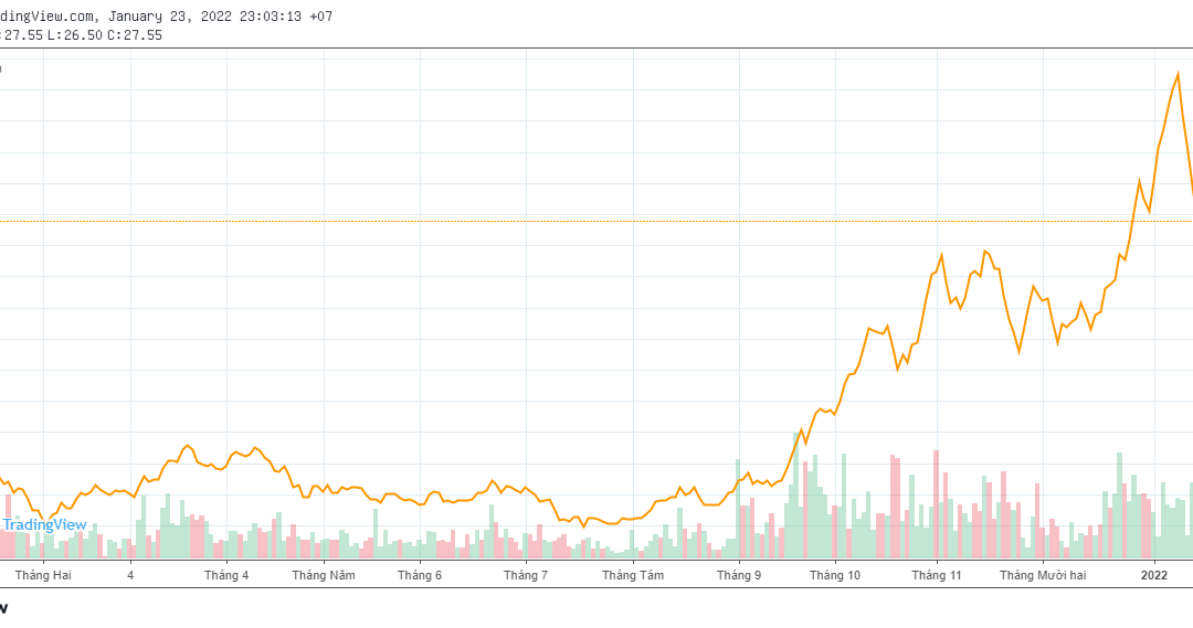 Cổ phiếu DRH: Thông tin Doanh nghiệp, Lịch sử Giá, Phân tích Tài chính, và Tiềm năng & Rủi ro