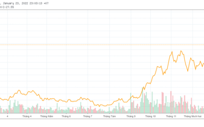 Cổ phiếu DRH: Thông tin Doanh nghiệp, Lịch sử Giá, Phân tích Tài chính, và Tiềm năng & Rủi ro