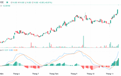 Nhận Định Cổ Phiếu EVF: Phân Tích Chuyên Sâu Và Tiềm Năng Đầu Tư 2025