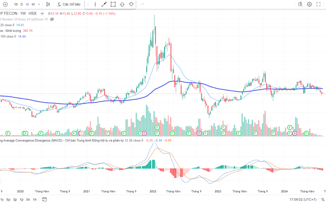 Cổ phiếu FCN: Thông tin, Lịch sử giá, Phân tích Tiềm năng và Nhận định chuyên sâu