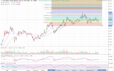 Cổ phiếu GVR: Thông tin, Phân tích Tài chính, Tiềm năng và Rủi ro đầu tư