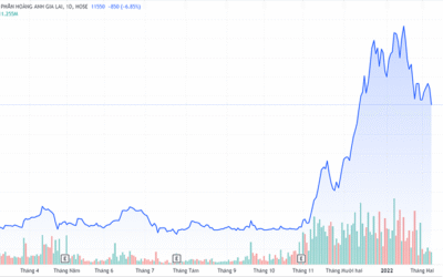 Có Nên Mua Cổ Phiếu HAG: Cơ Hội Hay Cạm Bẫy Từ Một Huyền Thoại?