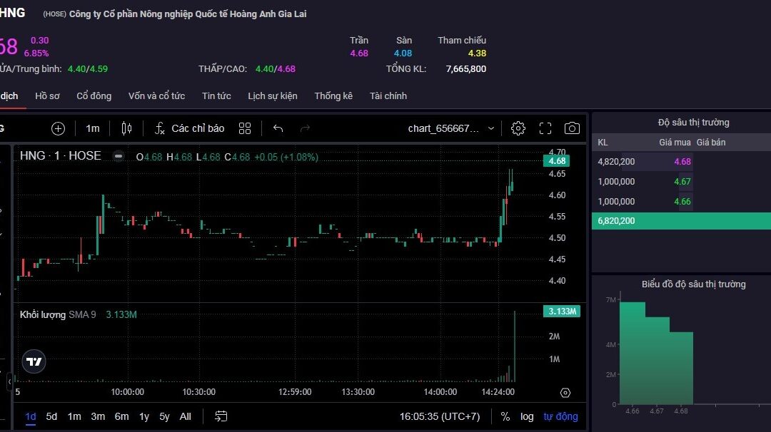 Cổ phiếu HNG: Thông tin, Đặc điểm, Tiềm năng và Lịch sử giá