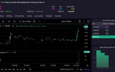 Cổ phiếu HNG: Thông tin, Đặc điểm, Tiềm năng và Lịch sử giá