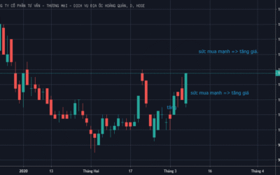 Cổ phiếu HQC: Thông tin, Đặc điểm, Tiềm năng và Rủi ro Đầu tư