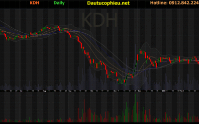Cổ Phiếu KDH 2025: Phân Tích Chuyên Sâu, Định Giá Và Tiềm Năng Tăng Trưởng “Khủng”