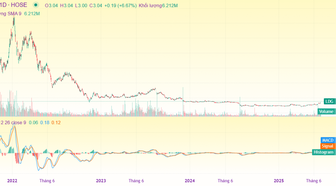 Cổ phiếu LDG: Thông tin, Phân tích Tài chính, Rủi ro Pháp lý và Tiềm năng Đầu tư