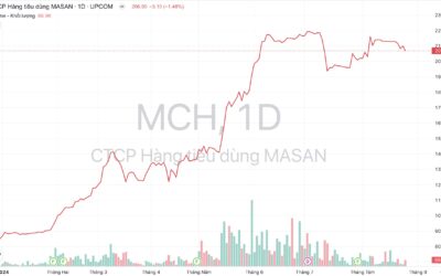 Nhận Định Cổ Phiếu MCH: Phân Tích Cơ Hội Và Triển Vọng Đầu Tư Từ Góc Nhìn Chuyên Gia