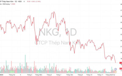 Giá Cổ Phiếu NKG: Thép Nam Kim (NKG) Đặt Mục Tiêu 2025 Thận Trọng – Cơ Hội Lớn Hay Cạm Bẫy Cho Nhà Đầu Tư?