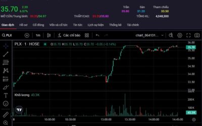 Cổ Phiếu PLX: Liệu Có Phải “Mỏ Vàng” Bị Lãng Quên? Phân Tích Chi Tiết Cơ Hội Đầu Tư 2025