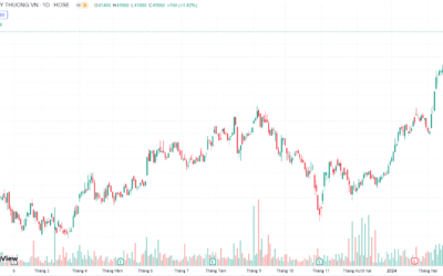 Cổ Phiếu TCB 2025: Giải Mã “Siêu Cổ” Ngành Ngân Hàng Và Tiềm Năng Bùng Nổ