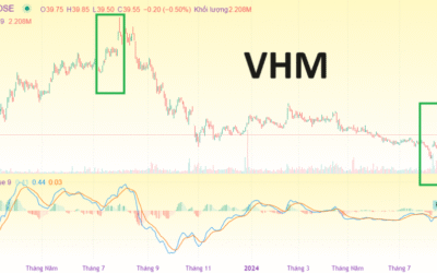 Cổ Phiếu VHM: Sự Thật Đằng Sau Cú Trượt Giá 15% Hậu Thương Vụ Lịch Sử Và Bài Học Cho Nhà Đầu Tư