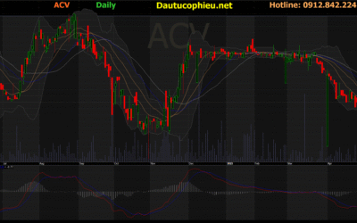 Phân Tích Cổ Phiếu ACV: Chìa Khóa Vàng Mở Cánh Cửa Bầu Trời Đầu Tư?